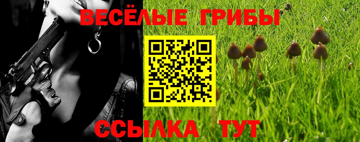 Псилоцибиновые грибы GOLDEN TEACHER  Псилоцибиновые грибы ЛСД  Вход с VPN  Энгельс 